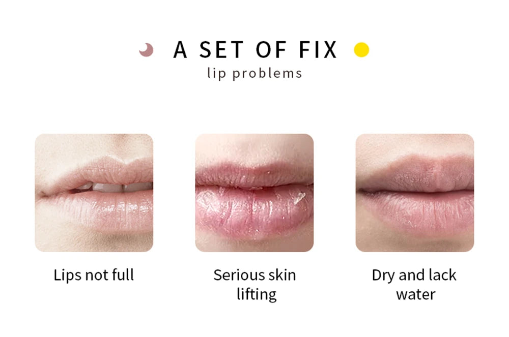 Day Night Ginger Mint Lip Plumping Liquid Plump and Increase Nourishing and Moisturizing Lip Set Box Lip Plumping Enhancer