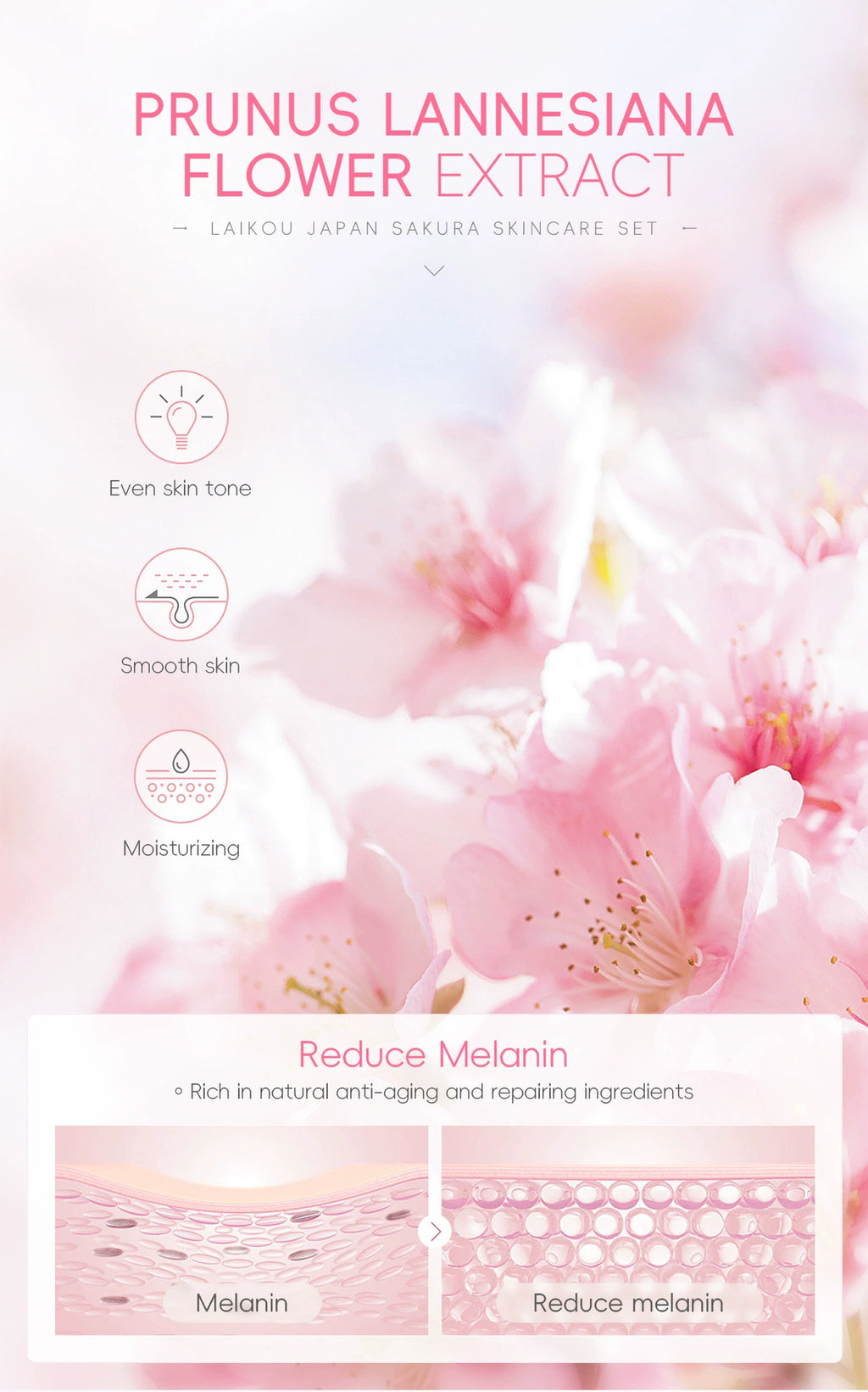 New Arrival Laikou Cherry Blossom 8-Piece Set Birthday Gift Facial Skin Care Gift Set Laikou Hydrating Moisturizing Genuine Article