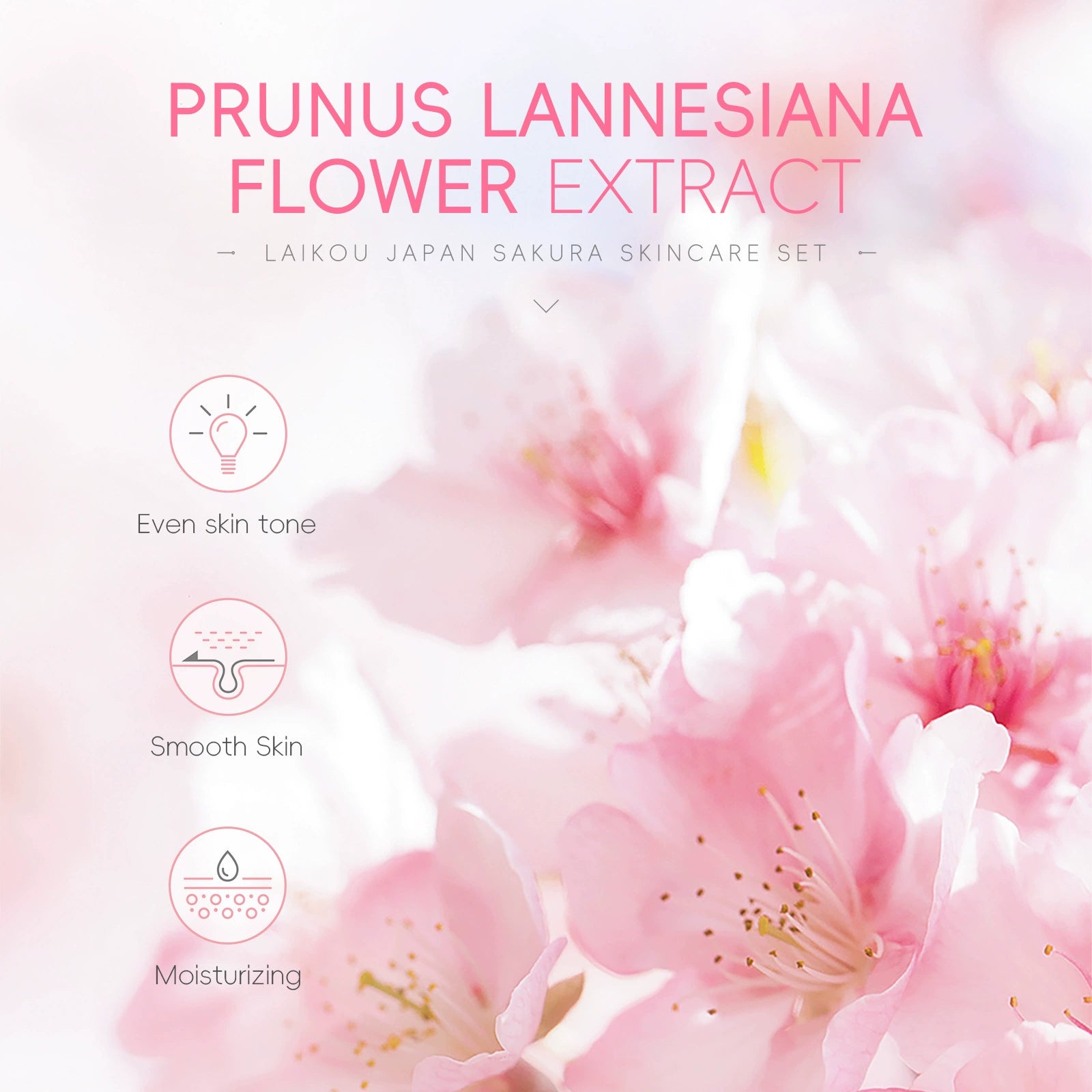 New Arrival Laikou Cherry Blossom 8-Piece Set Birthday Gift Facial Skin Care Gift Set Laikou Hydrating Moisturizing Genuine Article